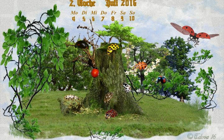 Vachroi’s Jahreskalender 2016 – 2. Juliwoche
