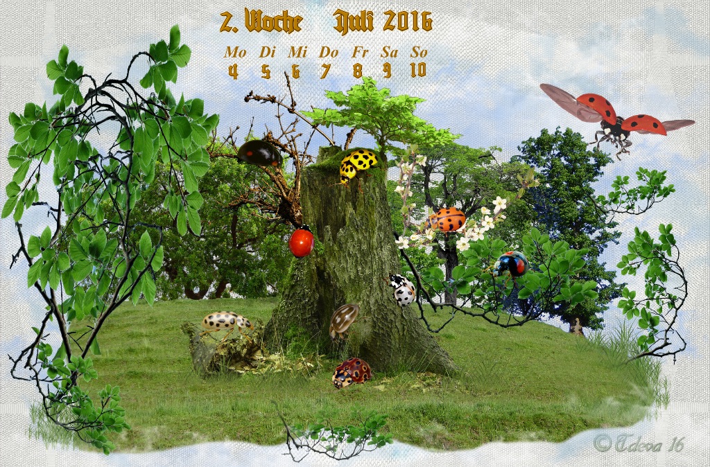 Vachroi’s Jahreskalender 2016 – 2. Juliwoche