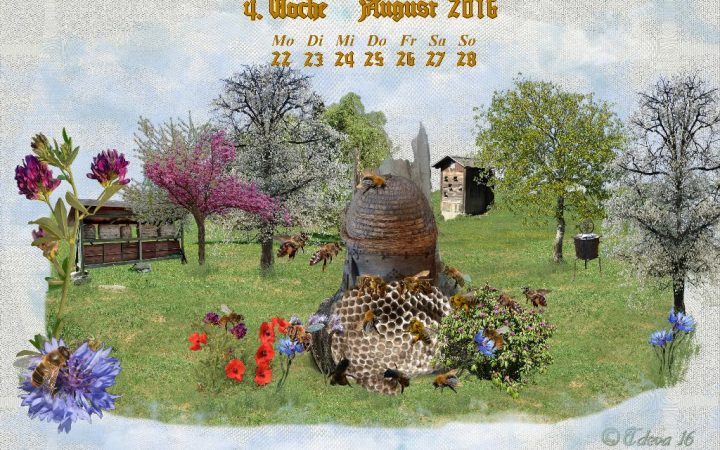 Vachroi’s Jahreskalender 2016 – 4. Augustwoche