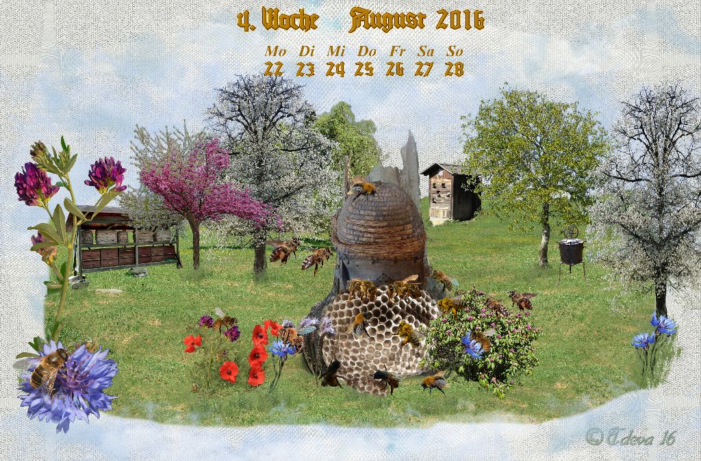 Vachroi’s Jahreskalender 2016 – 4. Augustwoche