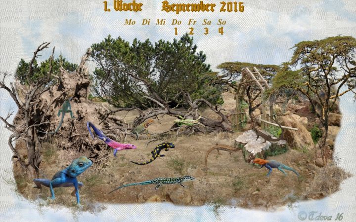 Vachroi’s Jahreskalender 2016 – 1. Septemberwoche