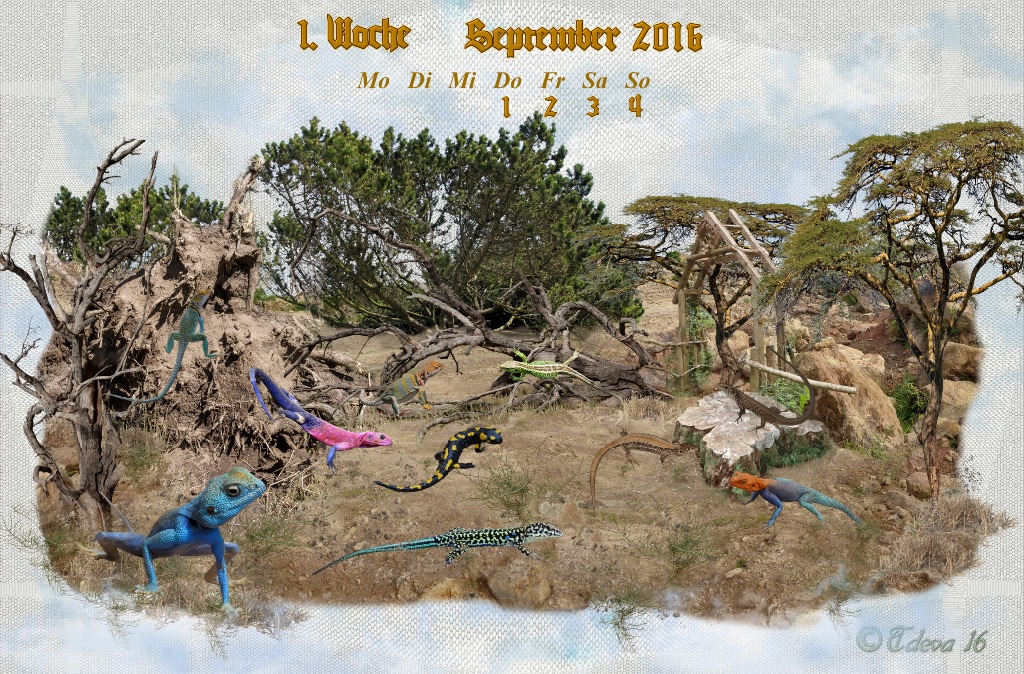 Vachroi’s Jahreskalender 2016 – 1. Septemberwoche