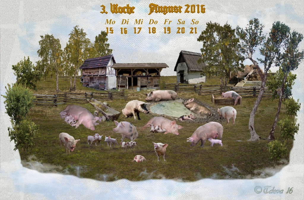 Vachroi’s Jahreskalender 2016 – 3. Augustwoche