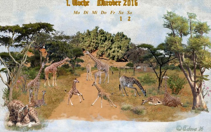 Vachroi’s Jahreskalender 2016 – 1. Oktoberwoche