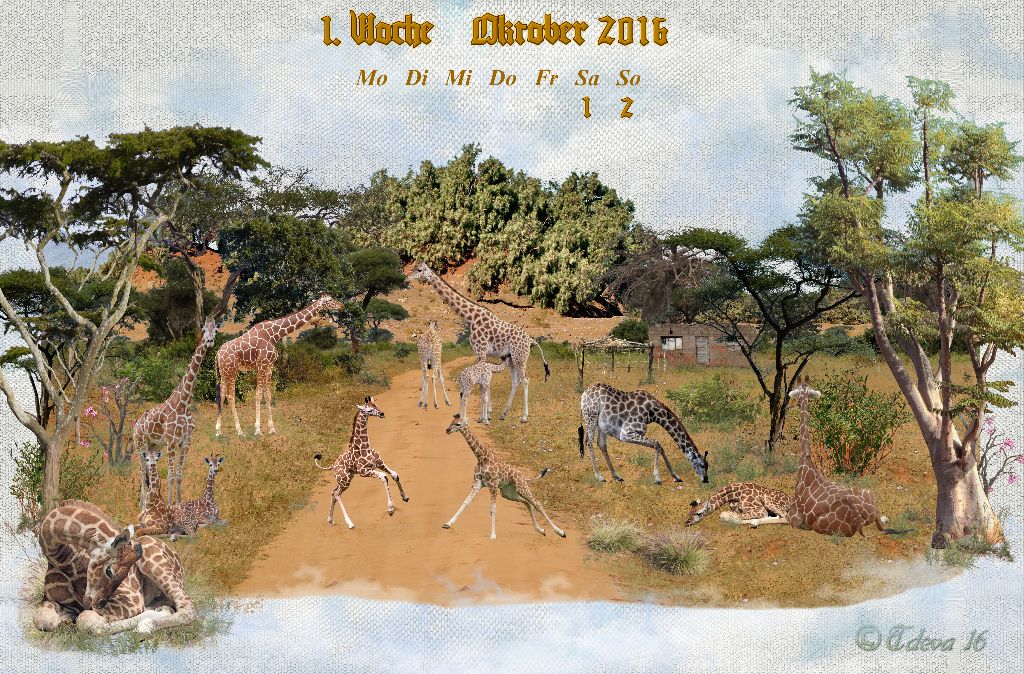 Vachroi’s Jahreskalender 2016 – 1. Oktoberwoche