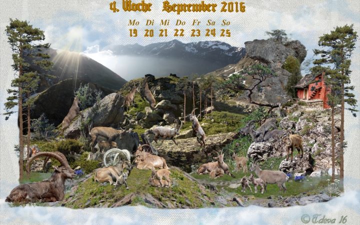 Vachroi’s Jahreskalender 2016 – 4.Septemberwoche