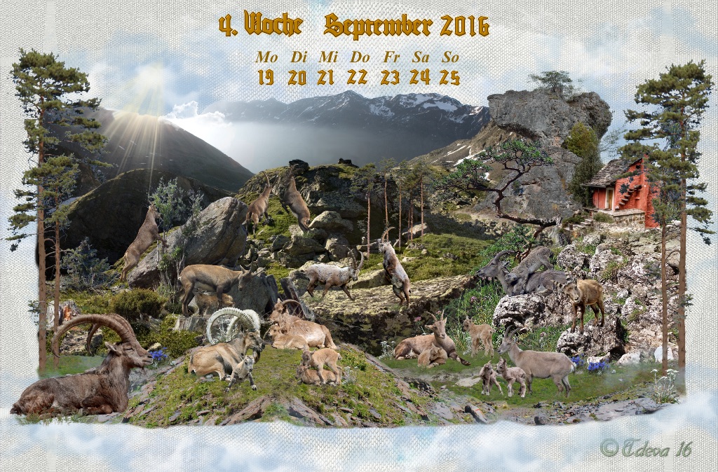 Vachroi’s Jahreskalender 2016 – 4.Septemberwoche