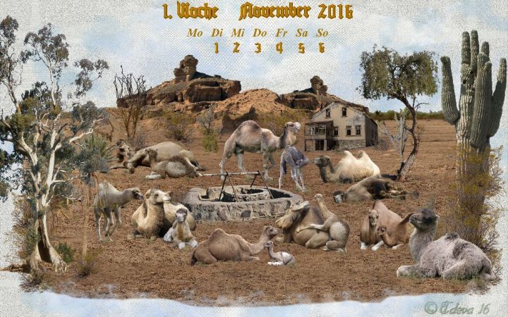 Vachroi’s Jahreskalender 2016 – 1. Novemberwoche