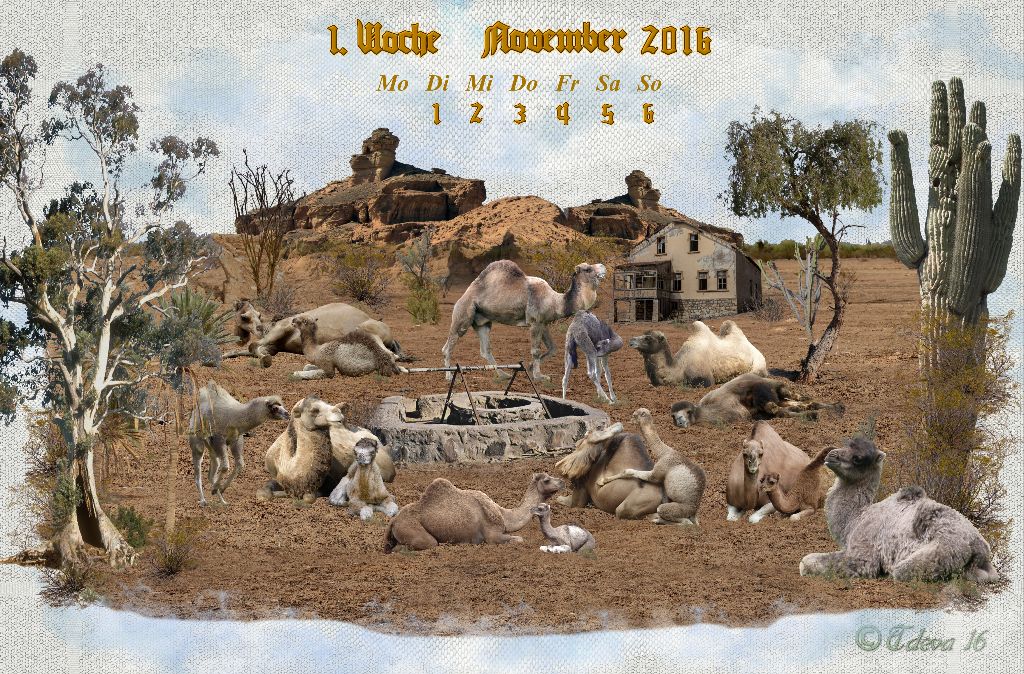 Vachroi’s Jahreskalender 2016 – 1. Novemberwoche
