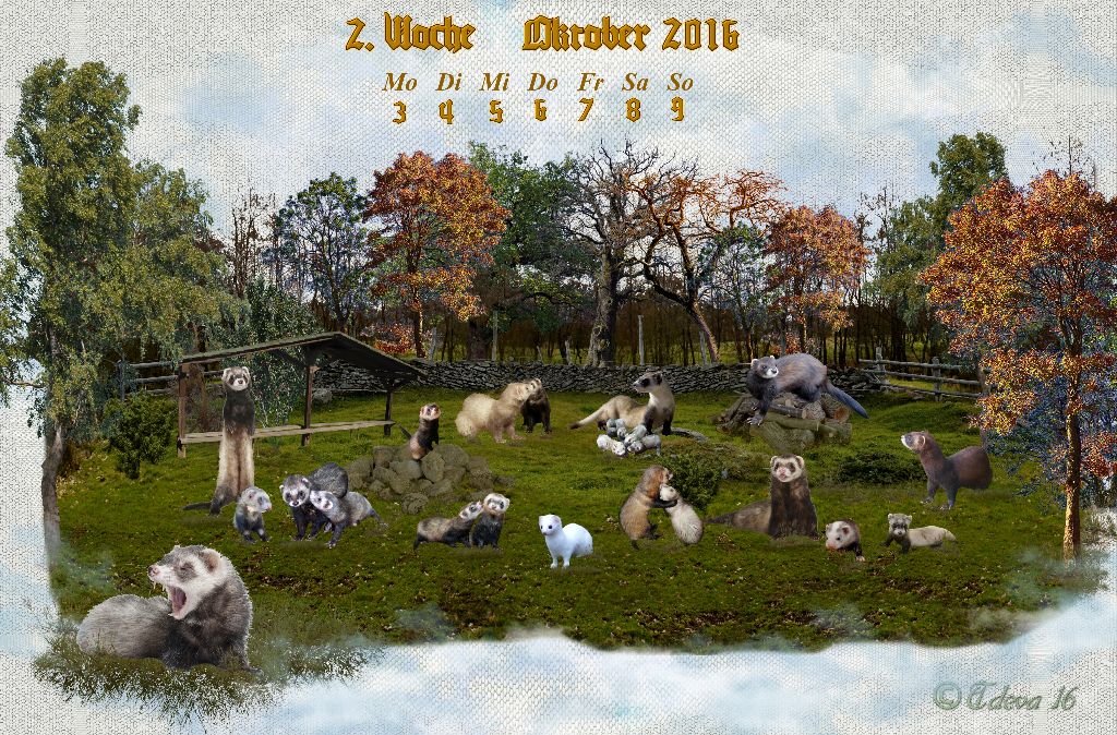 Vachroi’s Jahreskalender 2016 – 2. Oktoberwoche