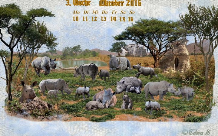 Vachroi’s Jahreskalender 2016 – 3.Oktoberwoche