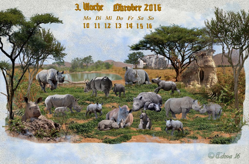Vachroi’s Jahreskalender 2016 – 3.Oktoberwoche