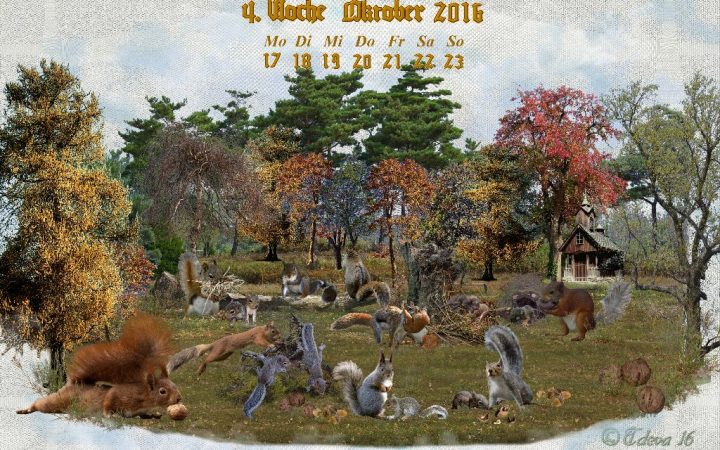 Vachroi’s Jahreskalender 2016 – 4. Oktoberwoche