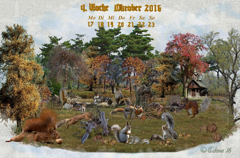 Vachroi’s Jahreskalender 2016 – 4. Oktoberwoche