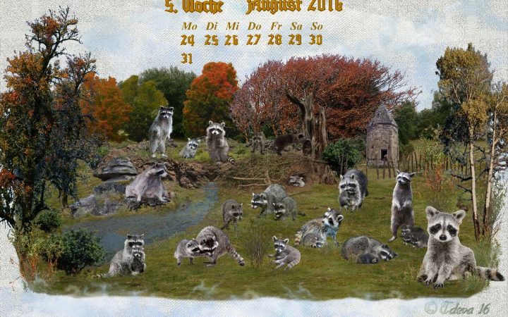 Vachroi’s Jahreskalender 2016 – 5. Oktoberwoche