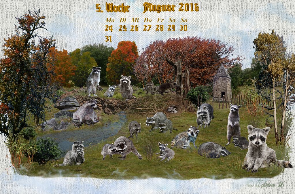 Vachroi’s Jahreskalender 2016 – 5. Oktoberwoche
