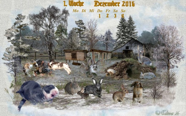 Vachroi’s Jahreskalender 2016 – 1. Dezemberwoche