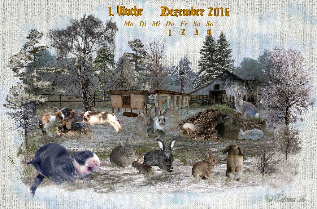 Vachroi’s Jahreskalender 2016 – 1. Dezemberwoche