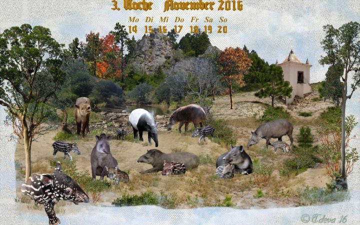 Vachroi’s Jahreskalender 2016 – 3. Novemberwoche