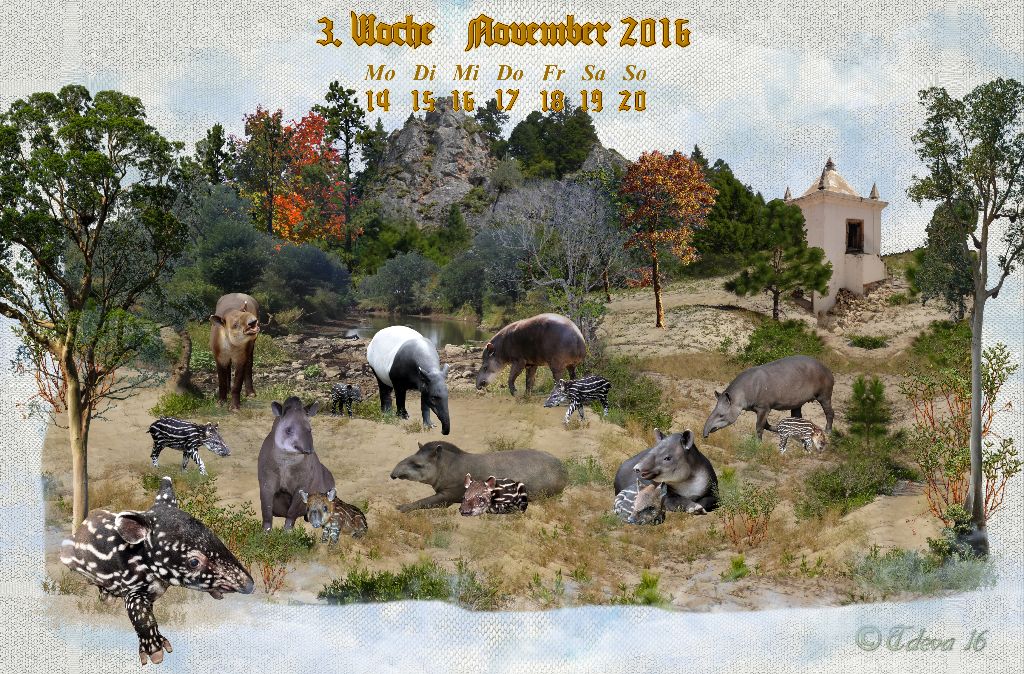 Vachroi’s Jahreskalender 2016 – 3. Novemberwoche