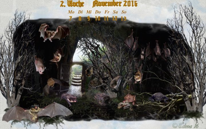 Vachroi’s Jahreskalender 2016 – 2. Novemberwoche