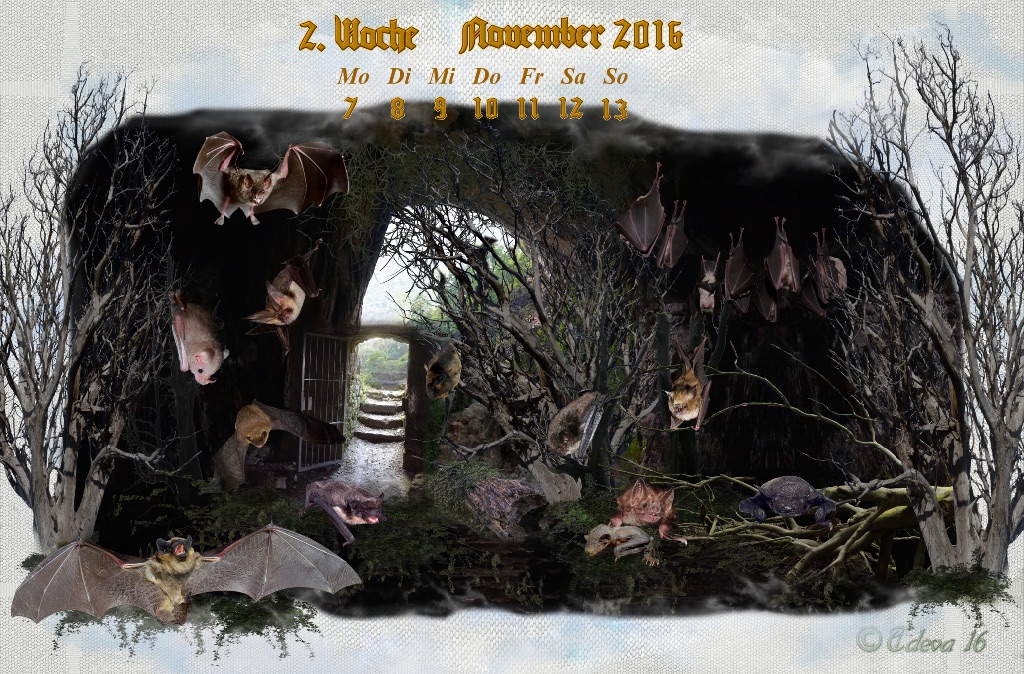 Vachroi’s Jahreskalender 2016 – 2. Novemberwoche