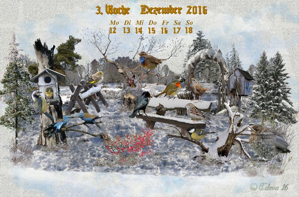 Vachroi’s Jahreskalender 2016 – 3. Dezemberwoche