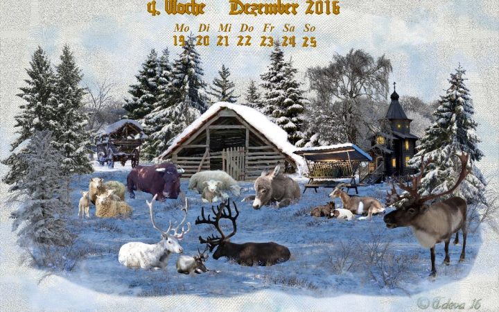 Vachroi’s Jahreskalender 2016 – 4. Dezemberwoche