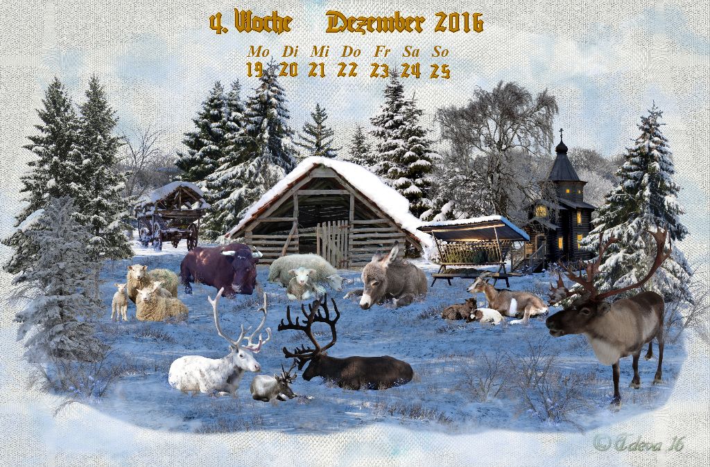 Vachroi’s Jahreskalender 2016 – 4. Dezemberwoche