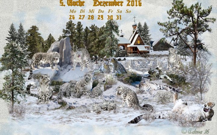Vachroi’s Jahreskalender 2016 – 5. Dezemberwoche
