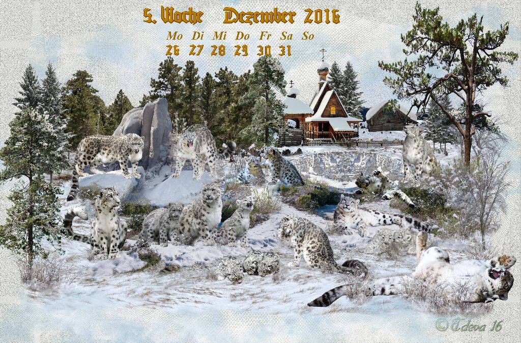 Vachroi’s Jahreskalender 2016 – 5. Dezemberwoche