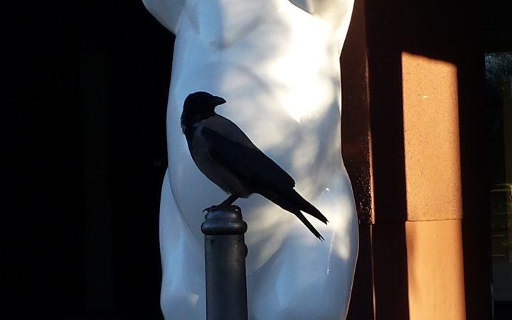Mein Glaube……………….