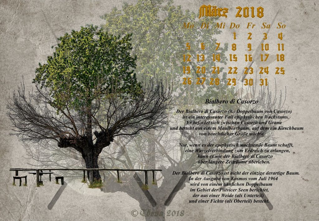 Vachrois Jahreskalender 2018 – Monat März