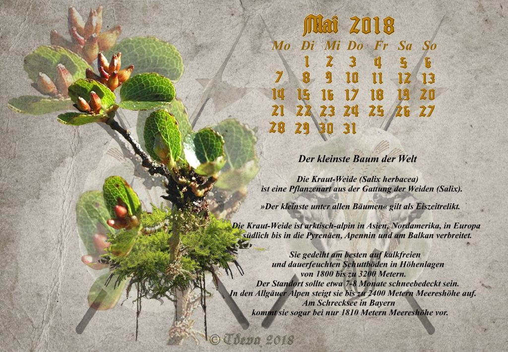 Vachroi’s Jahreskalender 2018 – Monat Mai