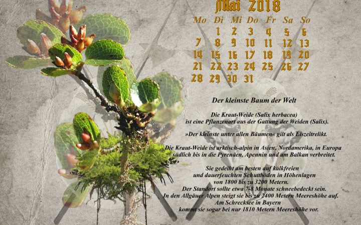 Vachroi’s Jahreskalender 2018 – Monat Mai