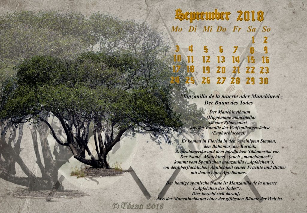 Vachroi’s Jahreskalender 2018 – Monat September