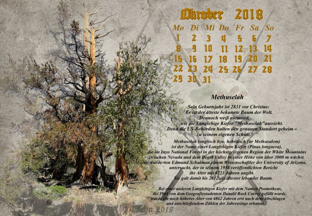 Vachroi’s Jahreskalender 2018 – Monat Oktober