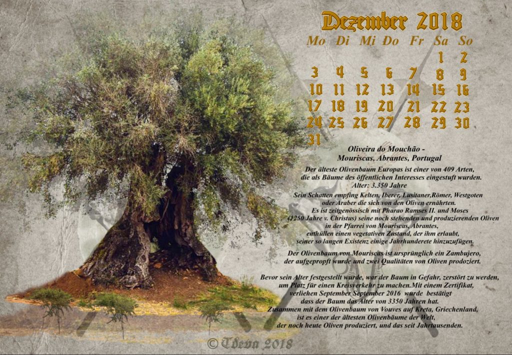 Vachrois Jahreskalender 2018 – Monat Dezember