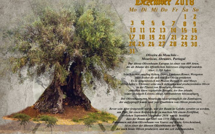 Vachrois Jahreskalender 2018 – Monat Dezember