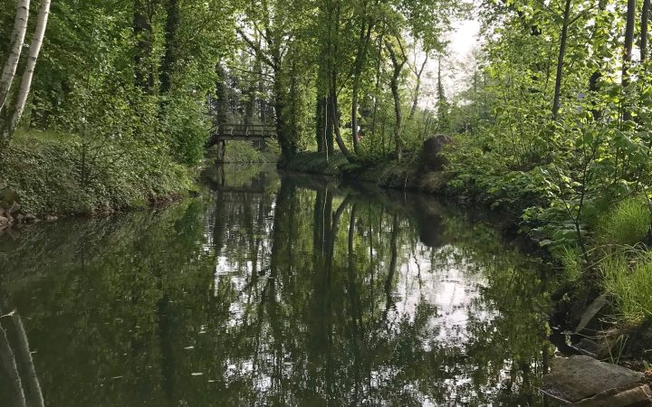 Besuch in Burg (Spreewald) – auf den Spuren von Theodor Fontane