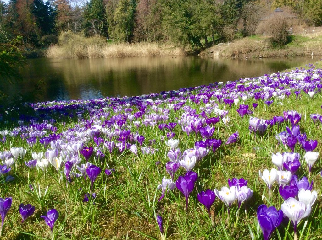Frühling