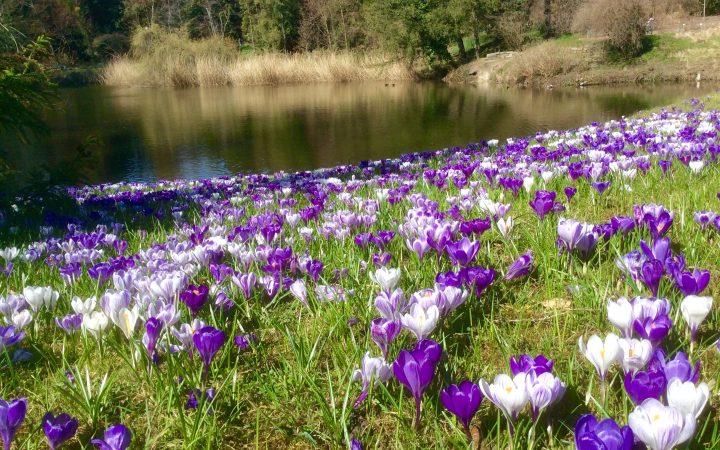 Frühling