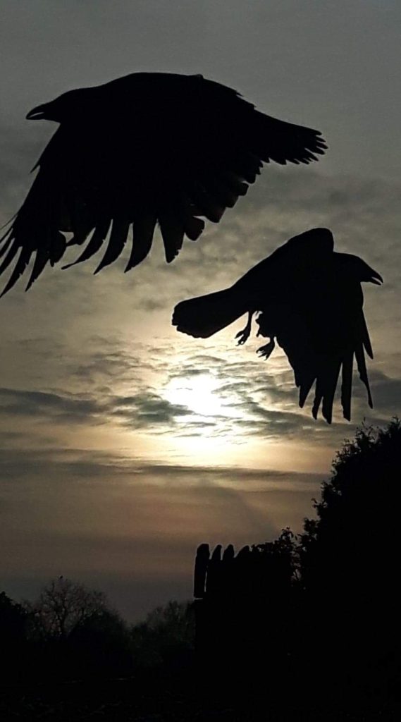 Wenn der Abend kommt!