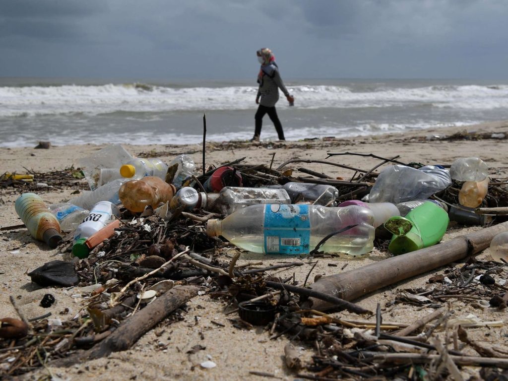 Der “Plastikwahn” – großer Schaden für Flora und Fauna