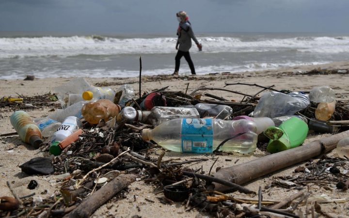 Der “Plastikwahn” – großer Schaden für Flora und Fauna