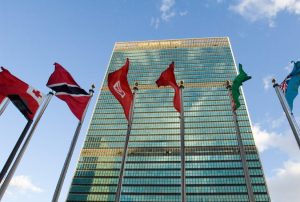 Mahnender Aufruf an die Vereinten Nationen/Urgent Call to the United Nations