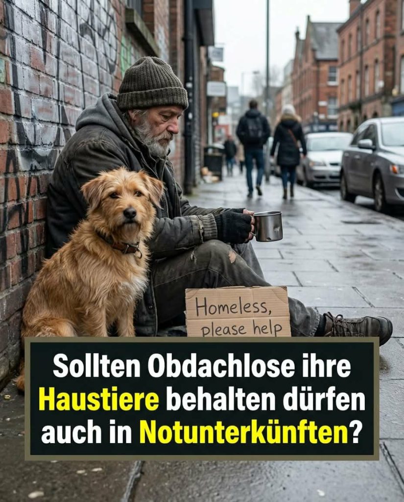 Wenn Hilfe den Hund ausschließt, bleibt der Mensch draußen.